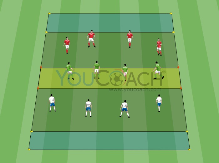 8 vs 4: Width and Transitions