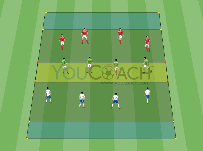 8 vs 4: width and transitions